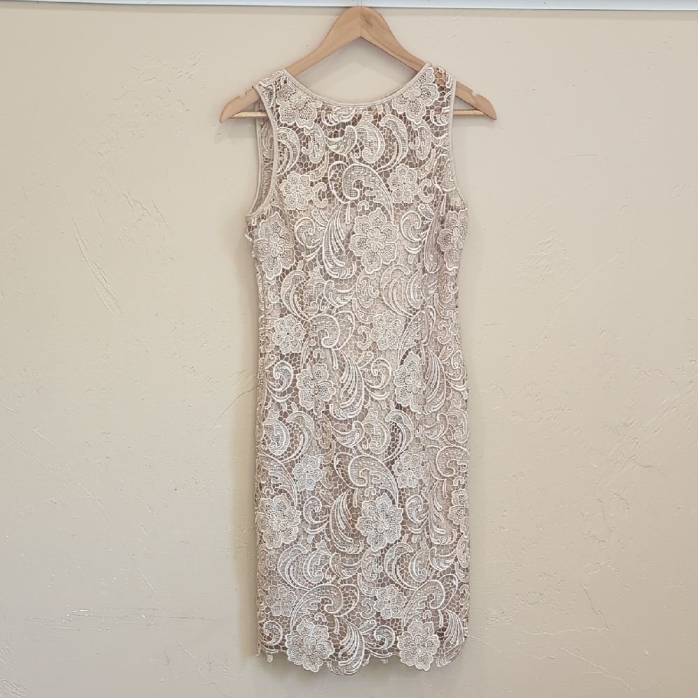 Adrianna Papell Lace Dress, Size 4